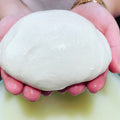 Homemade mozzarella